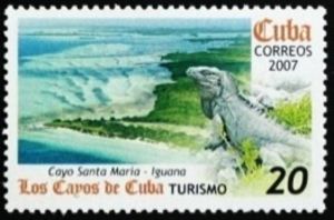 Green Iguana (Iguana iguana), Cayo Santa Maria