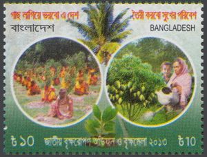National tree plantation campaign 2013