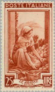 Orange Harvest, Monte Pellegrino (Sicily)