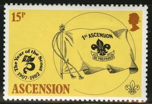 Ascension Scout Flag