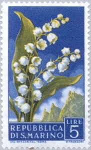 Lily of the Valley