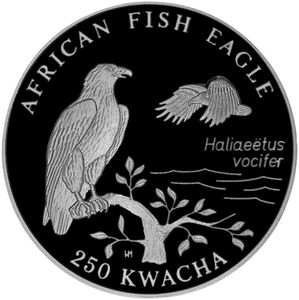 250 Kwacha (African fish eagles)