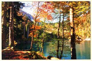 Ritsa Lake in Pshegishva Mountains