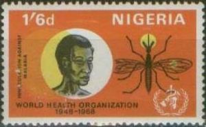 Anopheles Mosquito (Anopheles sp.)