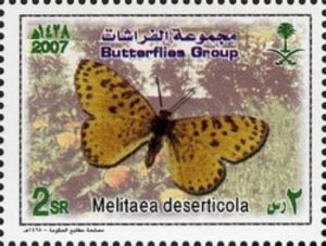 Desert Fritillary (Melitaea deserticola)