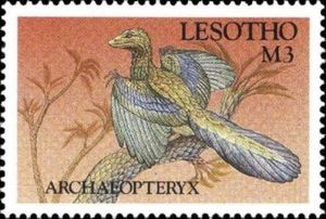 Archaeopteryx