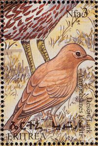 Desert Lark (Ammomanes deserti)