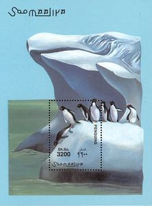 Adelie Penguin (Pygoscelis adeliae)