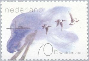 Barnacle Goose (Branta leucopsis)