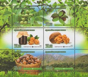 Wild Walnut Forest, Arstanbap