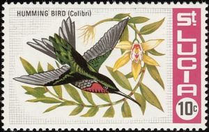 Humming Bird (Colibri) (see Description)