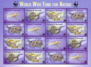 World Wild Life Fund (2)