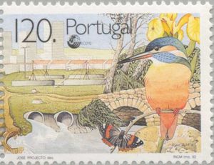 Common Kingfisher (Alcedo atthis)