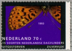 Pearl-bordered Fritillary (Boloria euphrosyne)