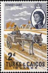 Donkey (Equus africanus asinus) Cart