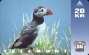 Puffin