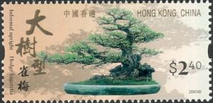 Informal Upright (Hedge Sageretia)