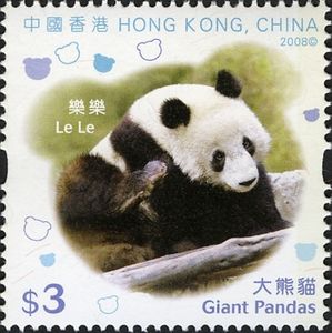 Giant Panda (Ailuropoda melanoleuca)