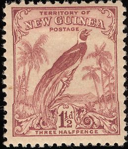 Raggiana Bird-of-paradise (Paradisaea raggiana)