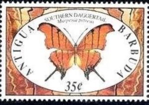 Red Daggertail (Marpesia petreus)