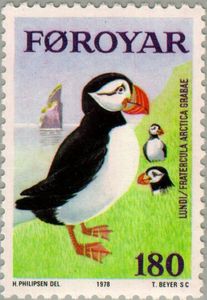 Southern Atlantic Puffin (Fratercula arctica grabae)