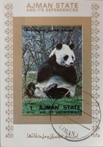 Giant Panda (Ailuropoda melanoleuca)