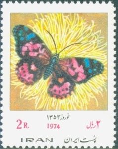 Painted Lady (Vanessa cardui)