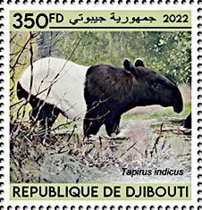 Malayan Tapir (Tapirus indicus)
