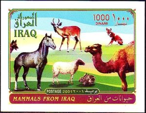 Horse, Gazelle, Sheep, Dromedary, Fox, Rabbit, Dog