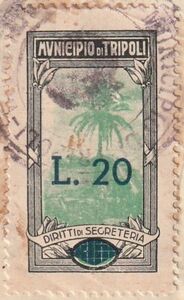 Diritti di Segretaria - Palm tree