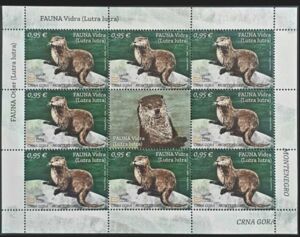 Eurasian Otter (Lutra lutra)