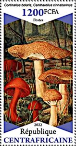 Cortinarius bolaris, Cantharellus cinnabarinus