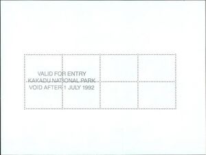 Pacific black duck (Anas superciliosa)