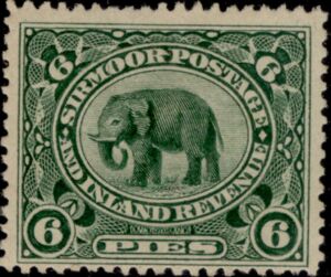 Indian Elephant (Elaphas Maximus)