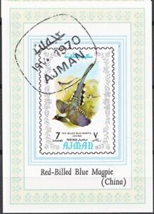 Red-billed Blue-Magpie (Urocissa erythroryncha)