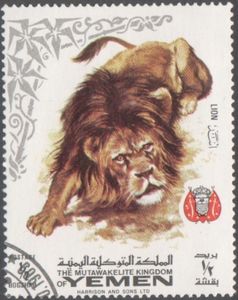 Lion (Panthera leo)