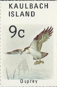 Osprey