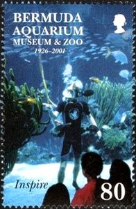 Diver in aquarium tank