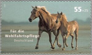 Horse (Equus ferus caballus)