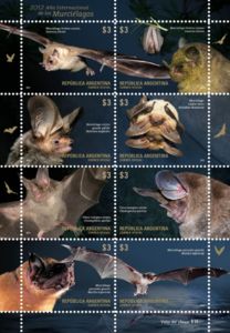 International Year of the Bat