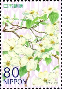 Dogwood Blossoms (Hanamizuki)