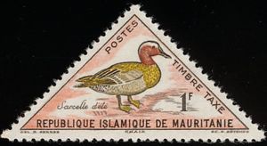 Garganey (Spatula querquedula)