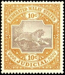 Tiger (Panthera tigris)