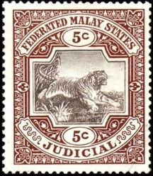 Tiger (Panthera tigris)