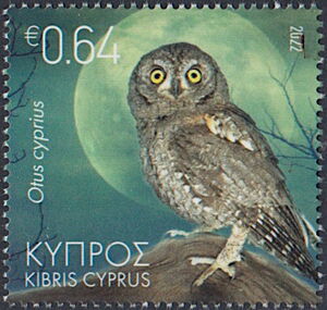 Cyprus Scops-Owl (Otus cyprius)