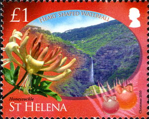 Honeysuckle and Heart Shaped Waterfall