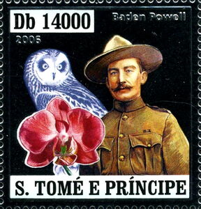 Baden Powell, Owl, Orchid