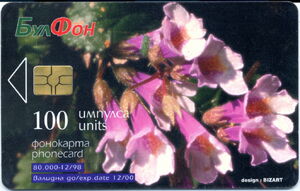 Haberlea Rhodopensis