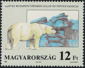 Polar Bear (Ursus maritimus)