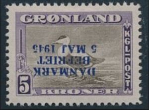 Eider Duck (Somateria mollissima) overprint